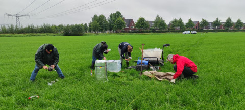 Veldwerk SoilProS